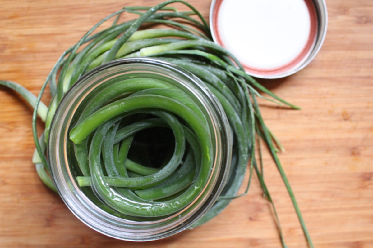 Canned Garlic Scapes