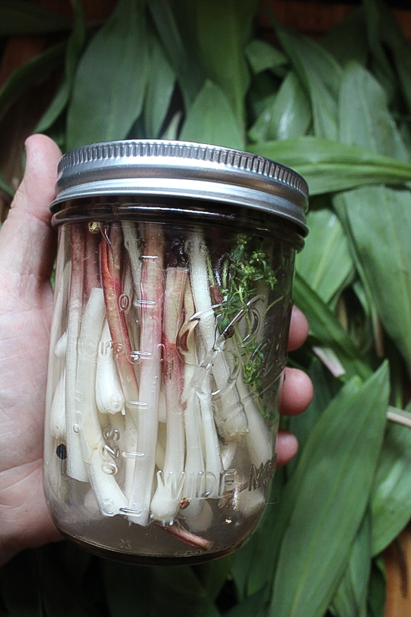 Pickled Ramps