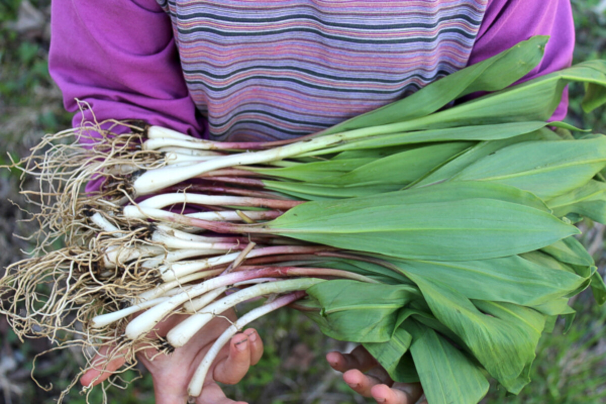 My baby girl holding an arm full of ramps.