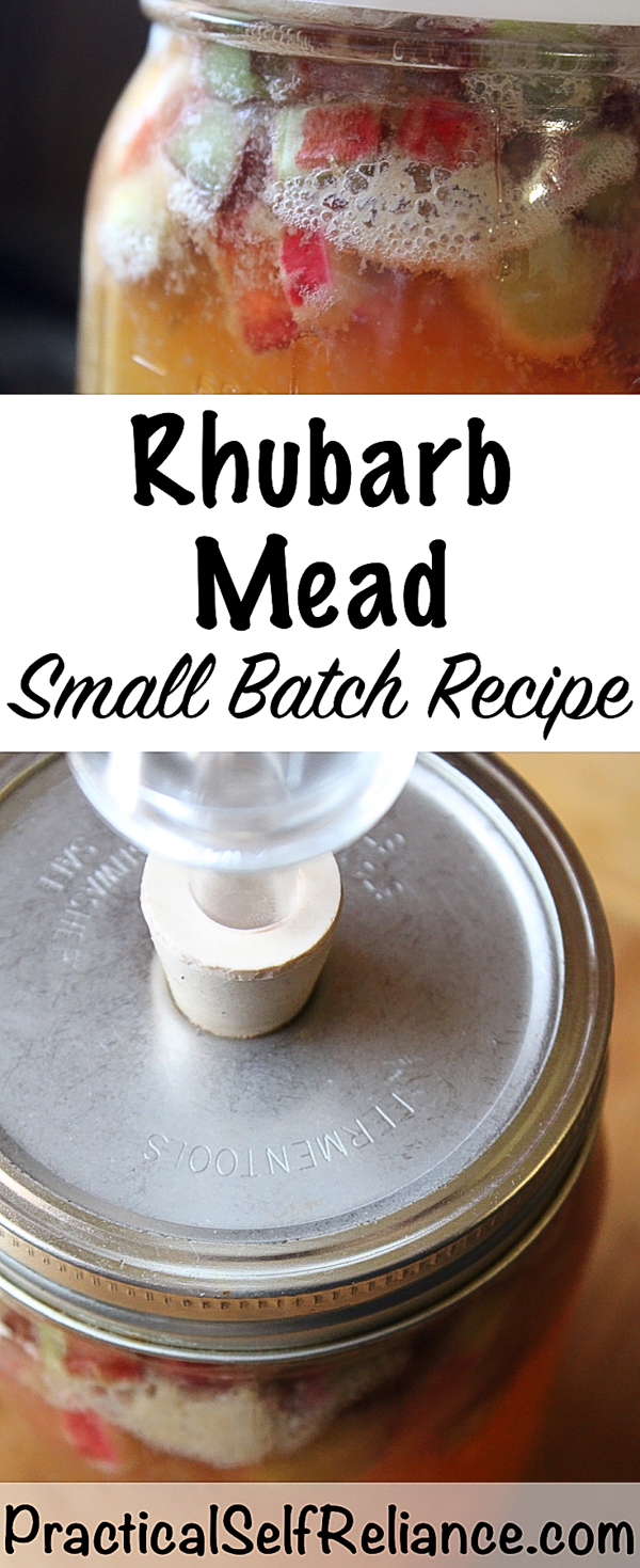 Rhubarb Mead ~ Small Batch Honey Wine Recipe #mead #meadrecipe #homebrew #honeywine #fermentation #fermenteddrinks #rhubarb #rhubarbrecipes