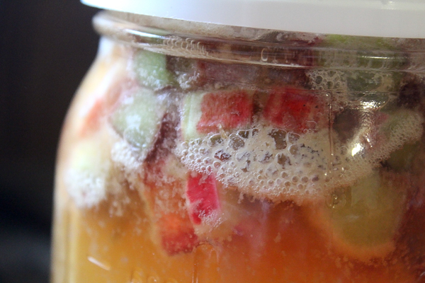 Rhubarb Mead Recipe