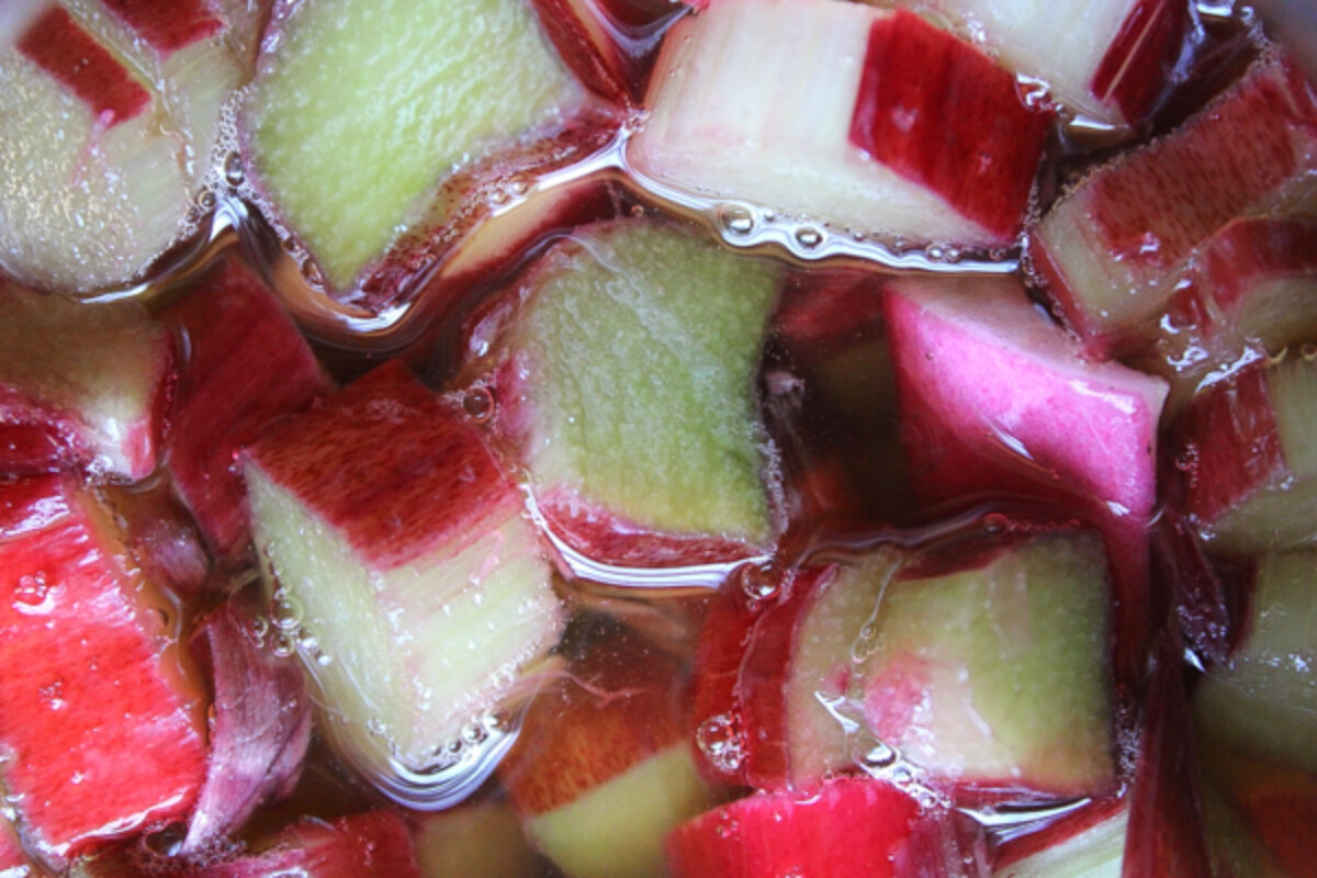 Rhubarb Honey Wine