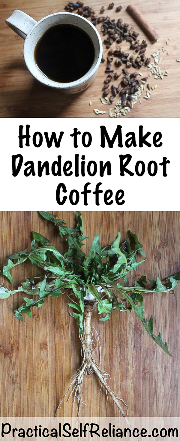 How to Make Dandelion Root Coffee ~ With roasted dandelions ~ wild foraged food #coffee #quitcoffee #herbalcoffee #dandelioncoffee #dandelion #dandelions #dandelionroot #dandelionrecipe #herbs #herbalism #foraging #wildfood #forage #selfsufficiency #wildcrafting