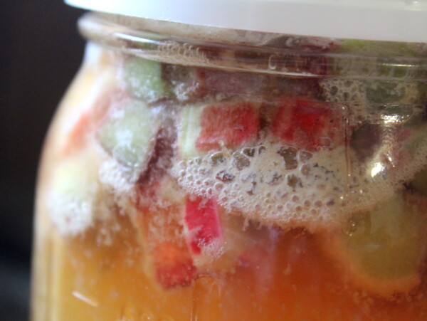 Rhubarb Mead Recipe