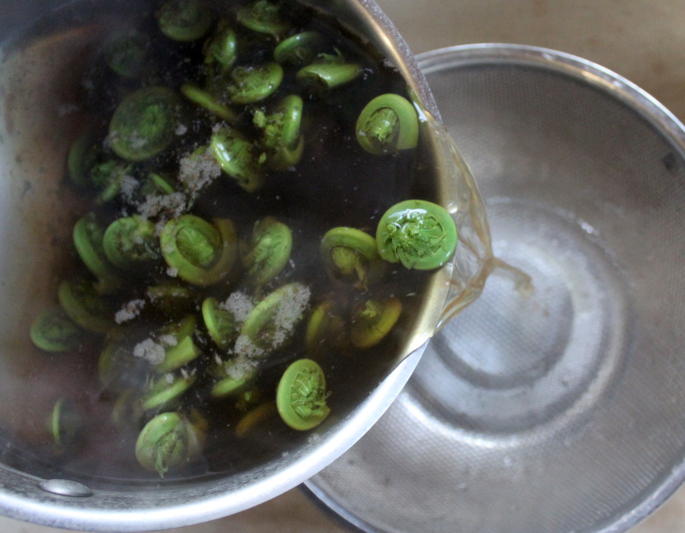Straining Fiddleheads