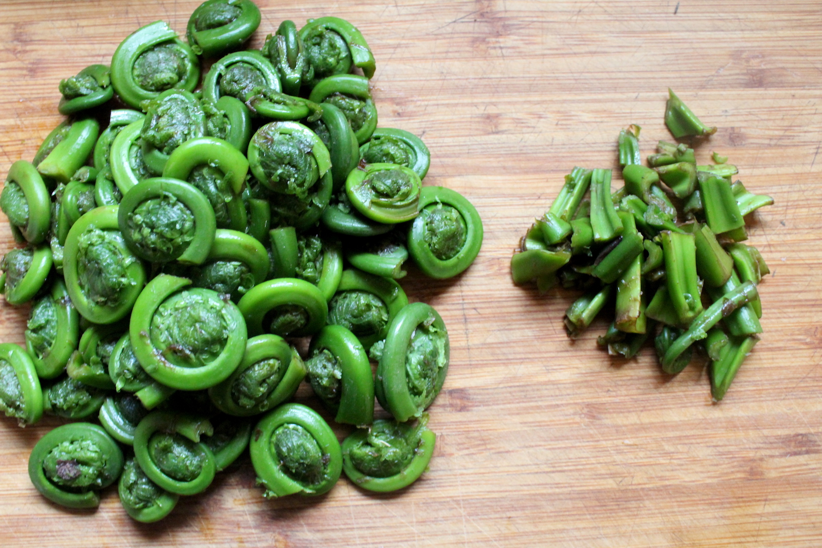 Trimming Fiddleheads