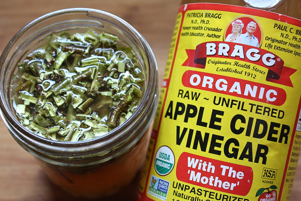 Infusing willow bark in vinegar to make willow bark extract.
