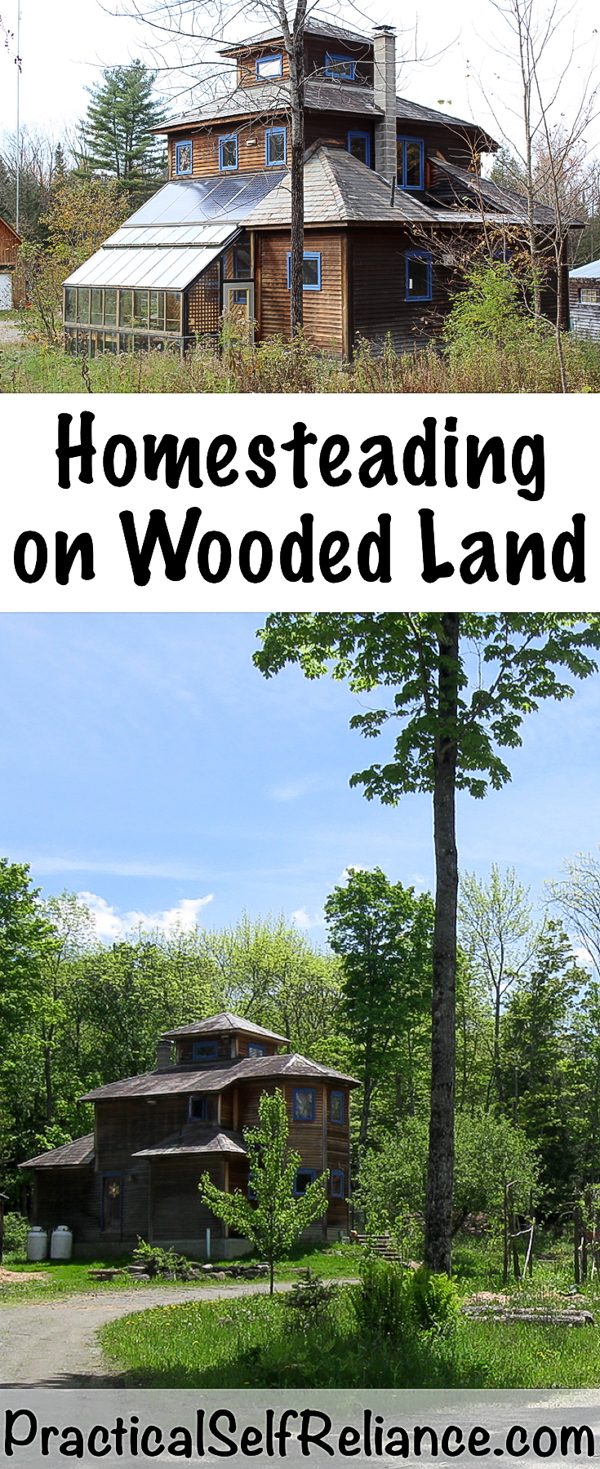 Homesteading On Wooded Land #homesteading #homestead #homesteader #woods #woodland #selfreliant #selfsufficiency