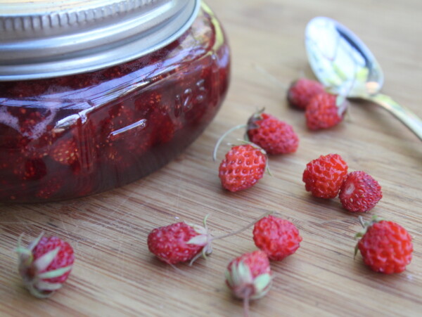Canning Wild Strawberry Jam
