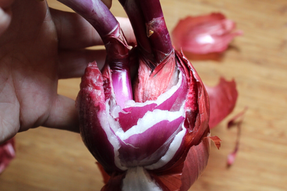 Dividing Sprouted Onions for planting