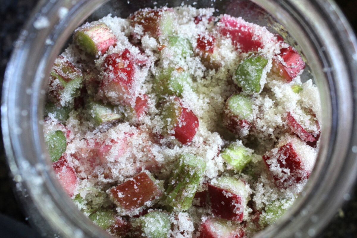 Juicing Rhubarb with Sugar for Wine