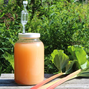 Rhubarb Wine Recipe