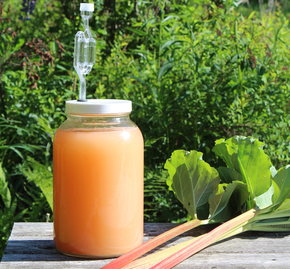 Rhubarb Wine Recipe