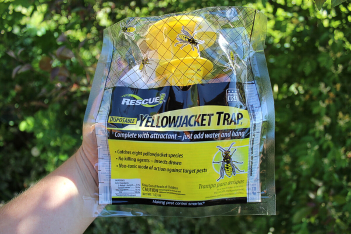 Disposable Yellow Jacket Trap