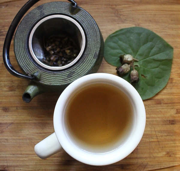 Wild Ginger Tea