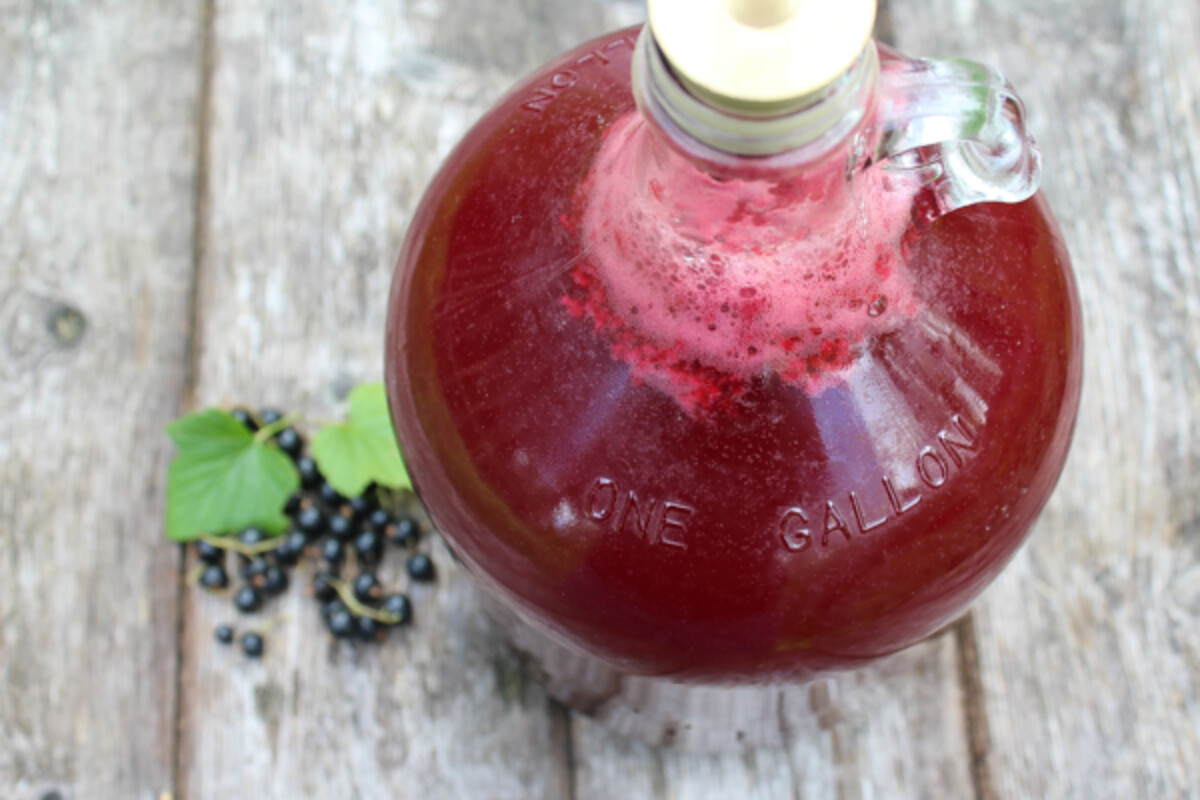Blackcurrant Mead