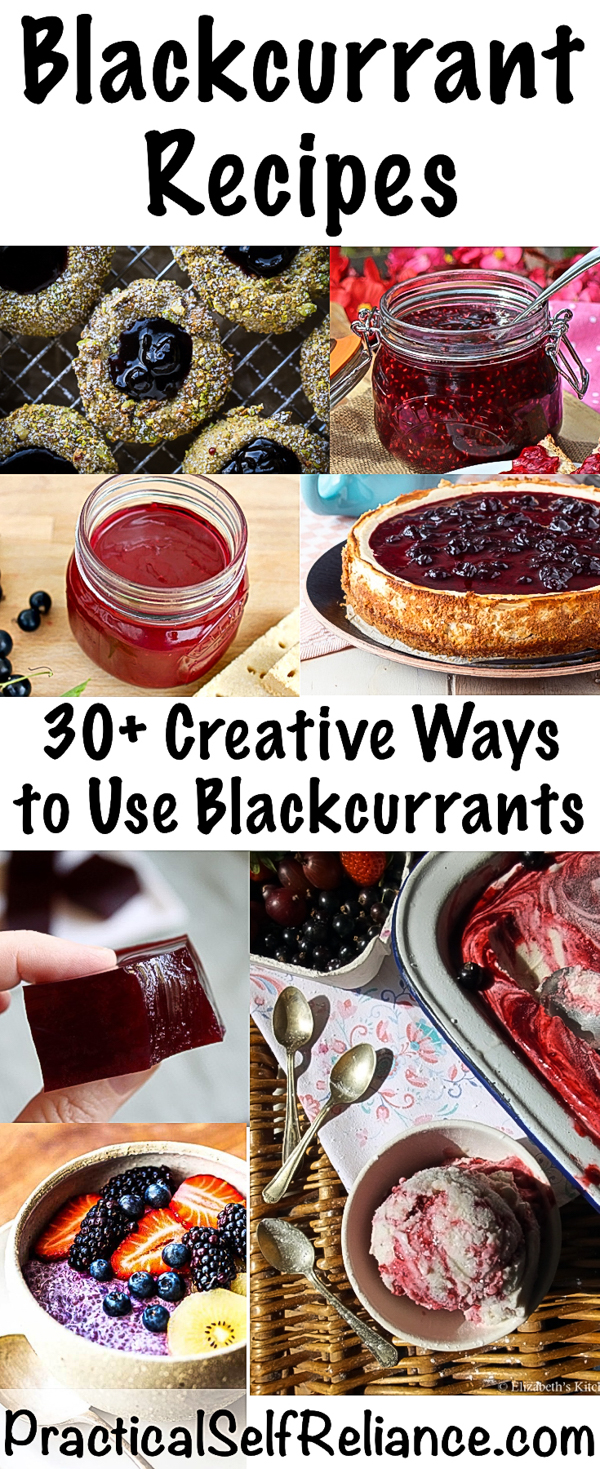 Blackcurrant Recipes ~ 30+ Creative Ways to Use Blackcurrants #blackcurrants #currant #recipes #superfood #berries #wildcrafting #foraging #wildfood