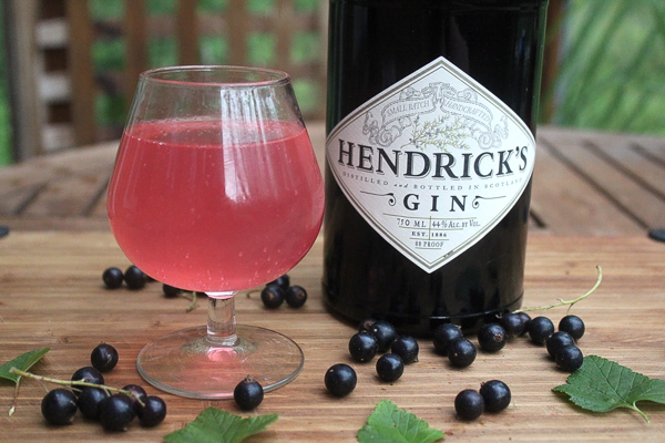blackcurrant gin