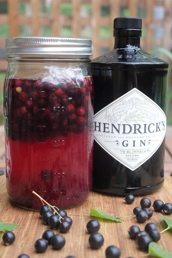 Blackcurrant infused gin 