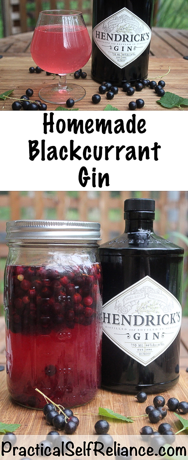 Homemade Blackcurrant Gin #currants #recipes #howtouse #blackcurrants #currant #gin #drinks #beverages #cocktail