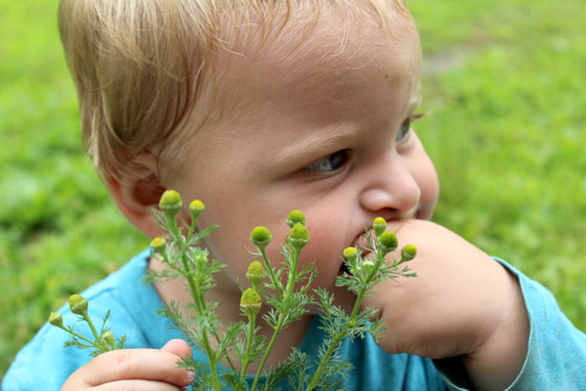 Pineapple Weed Eating Baby