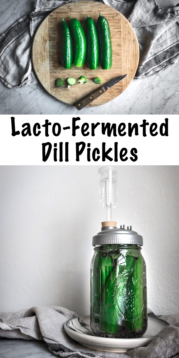 Lacto-Fermented Pickles Recipe ~ Learn how to make real probiotic-rich fermented dill pickles with this easy step-by-step recipe, a perfect project for a small or large batch of cucumbers! This easy fermented pickle recipe is great for beginners. #pickles #recipe #homemade #dill #homesteading #realfood
