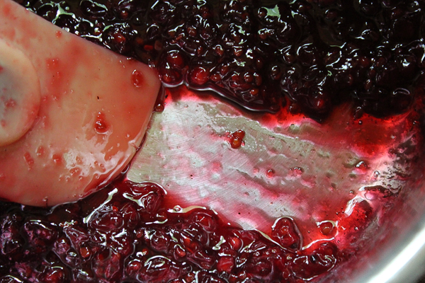 Red Currant Jam Trace