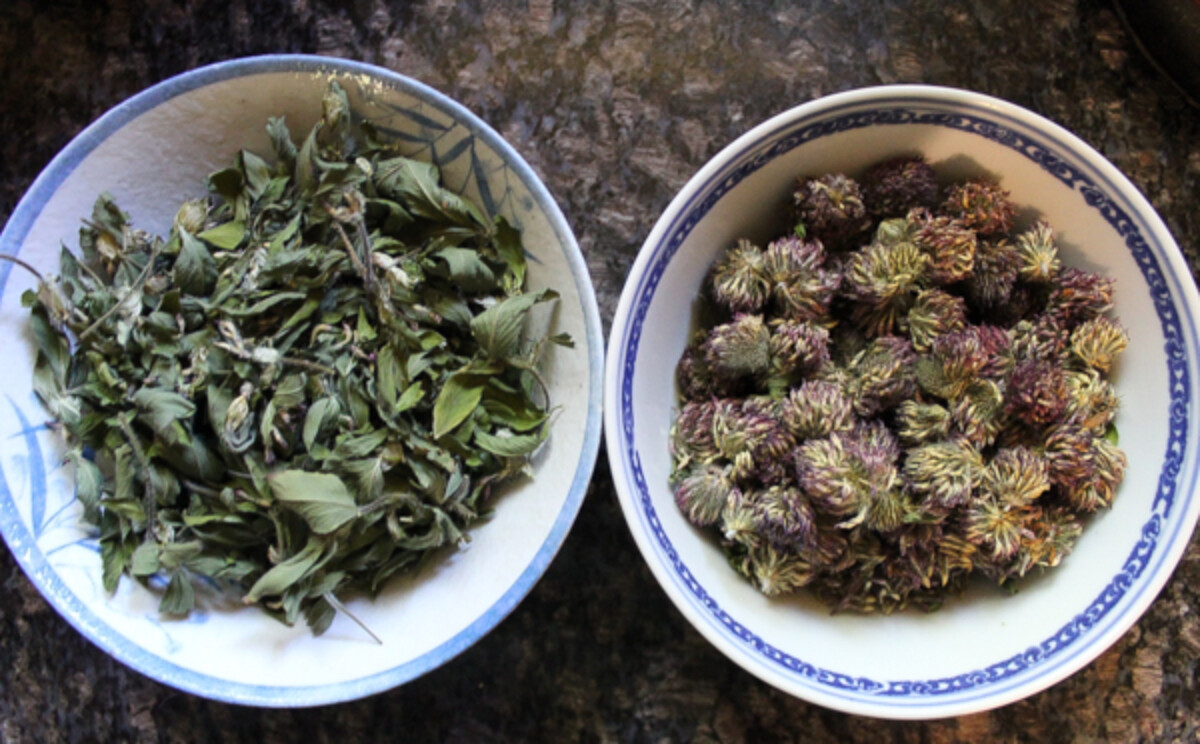 Separated Clover Flowers