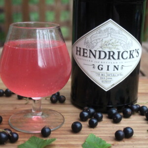 blackcurrant gin