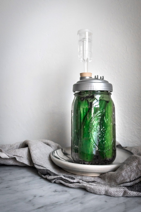 Fermented Pickles Culturing in a Mason Jar