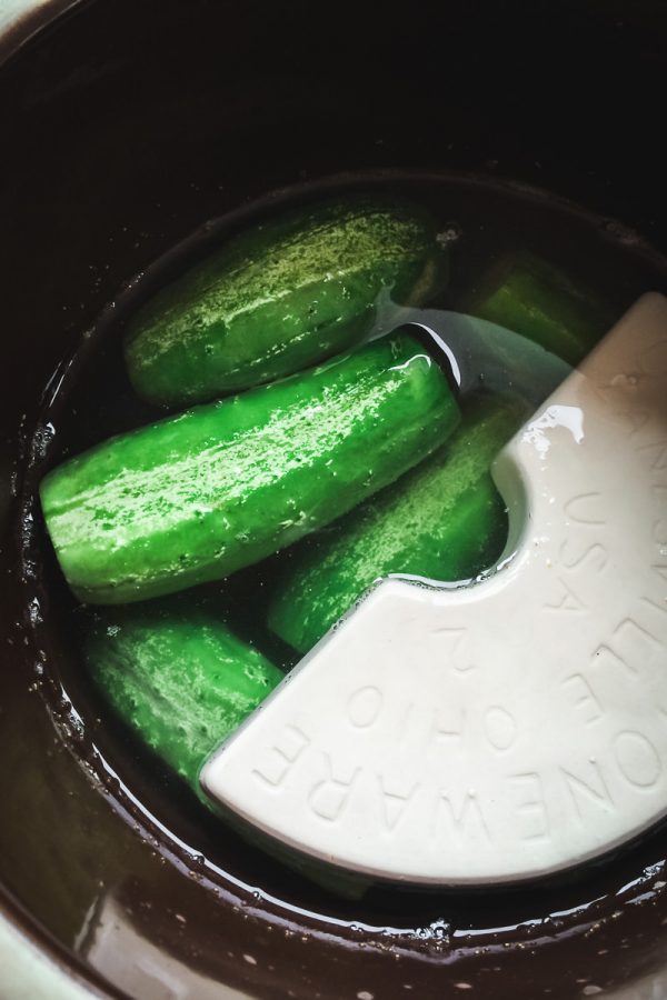 Lacto-Fermented Pickles in a Pickling Crock