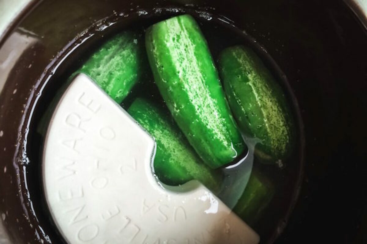 Lacto-Fermented Pickles culturing in a pickling crock with ceramic weight