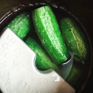 Lacto-Fermented Pickles culturing in a pickling crock with ceramic weight