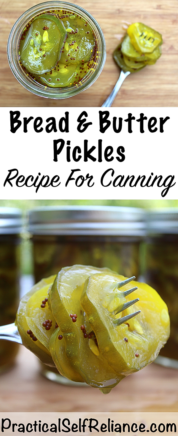 Bread and Butter Pickles Canning Recipe #pickles #recipe #howtomakepickles #canning #foodpreservation #preservingfood #homesteading #breadandbutterpickles