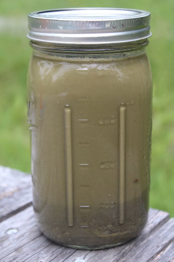 Clay Soil Test