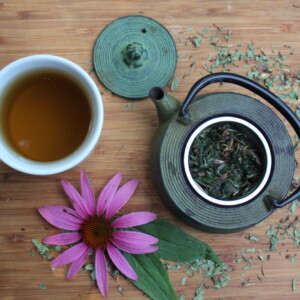 How to Make Echinacea Tea