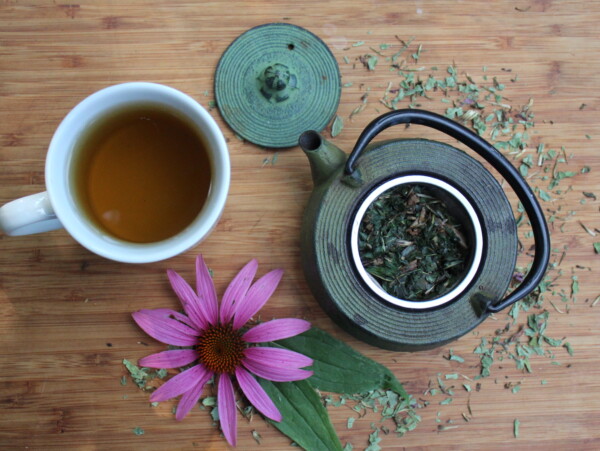 How to Make Echinacea Tea
