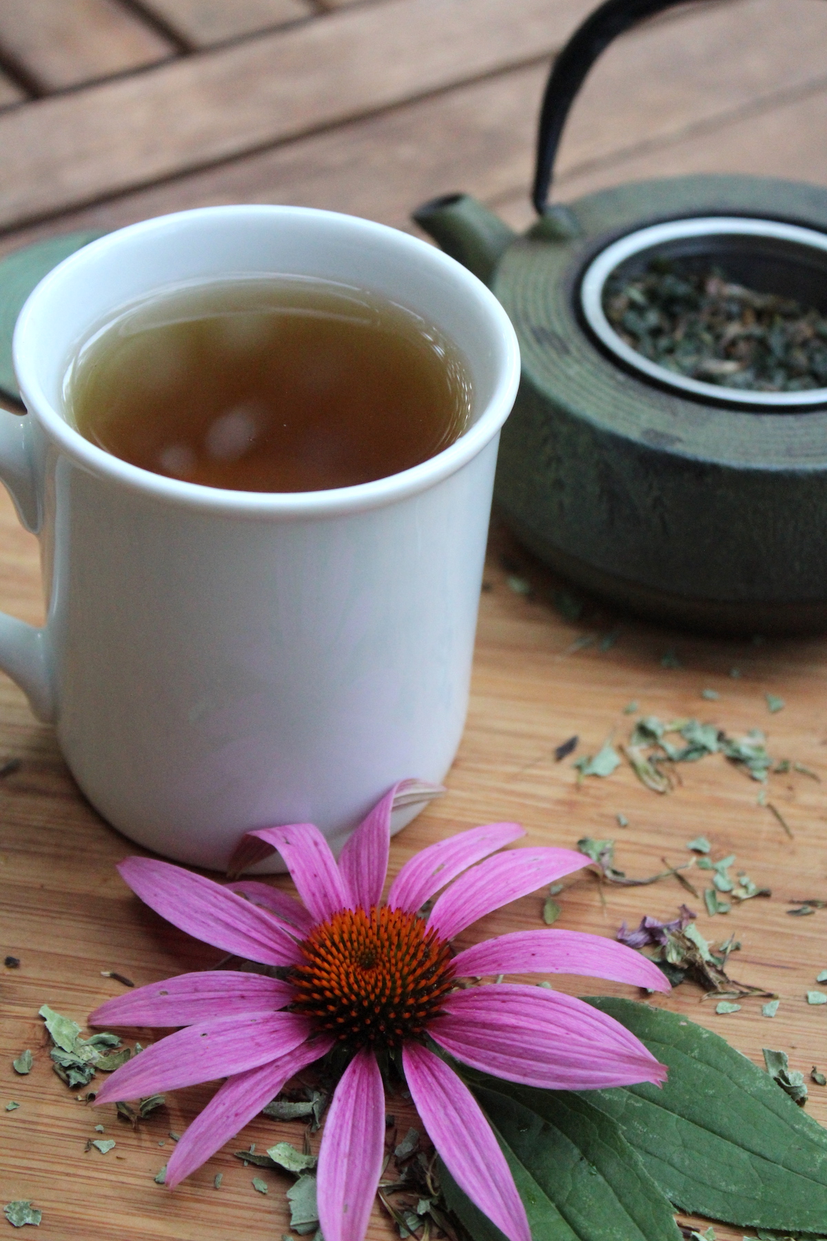 how-to-make-the-perfect-cup-of-echinacea-tea