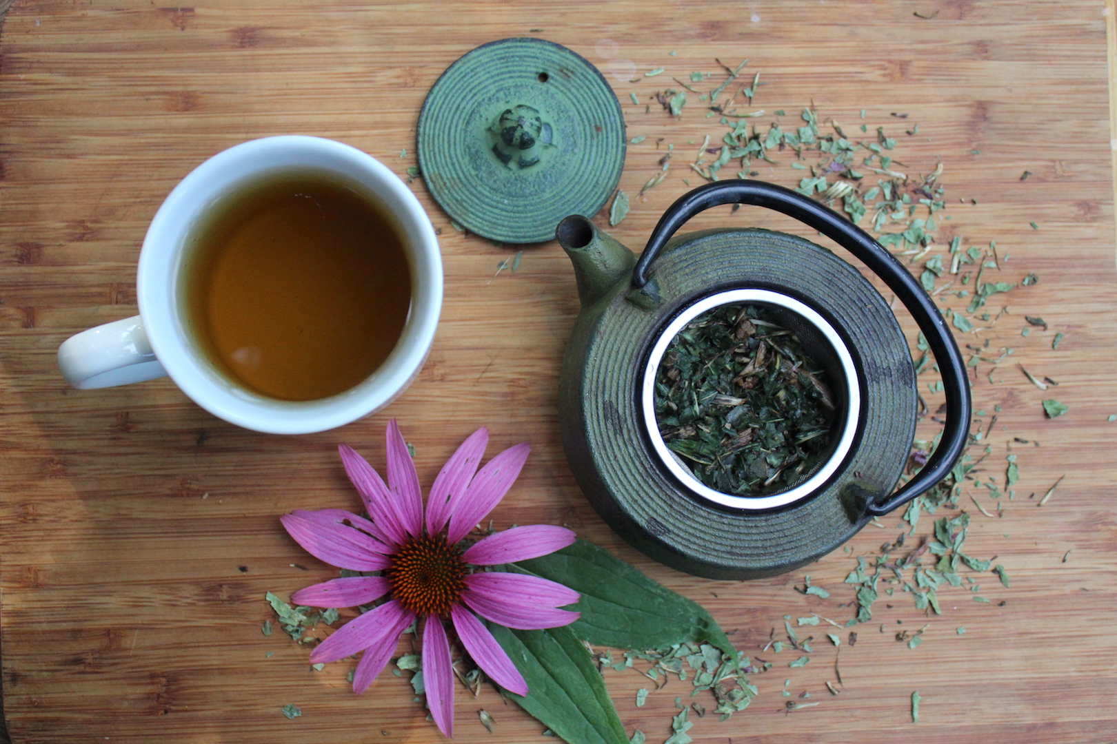 How to Make Echinacea Tea