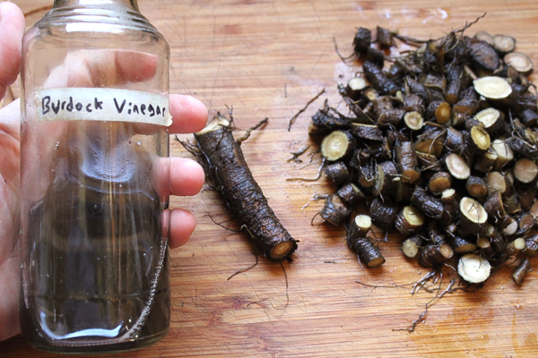 Burdock Vinegar