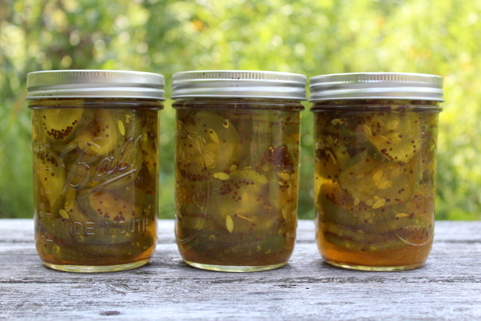 Home Canned Bread and Butter Pickles