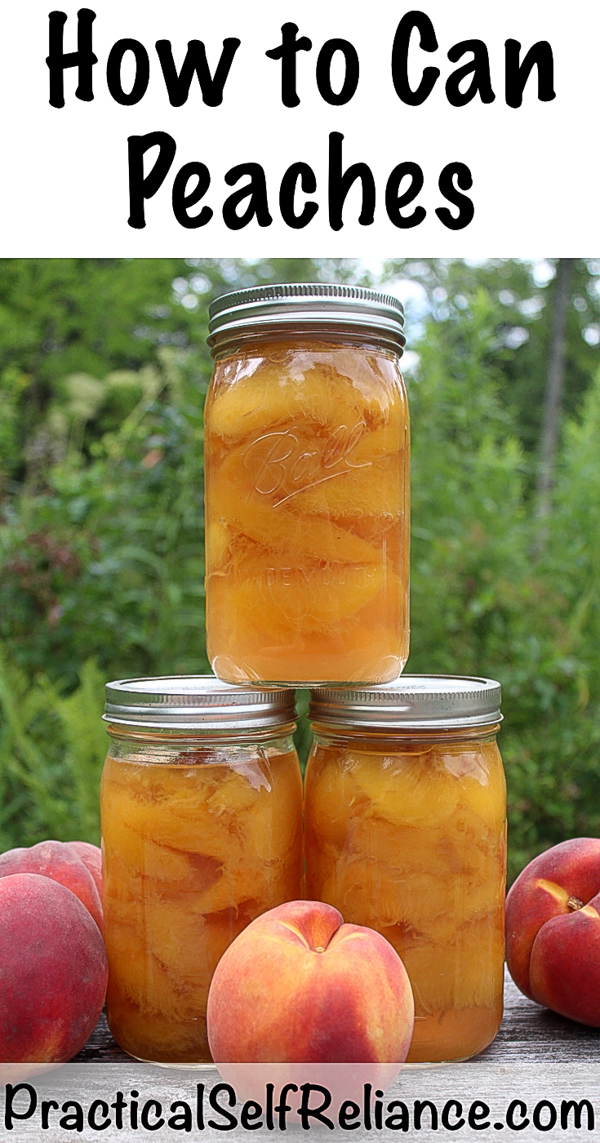 How to Can Peaches ~ Canning Peaches Safely at Home #peaches #peachrecipe #howtocan #canning #preservingfood #homesteading #prepper #selfreliant