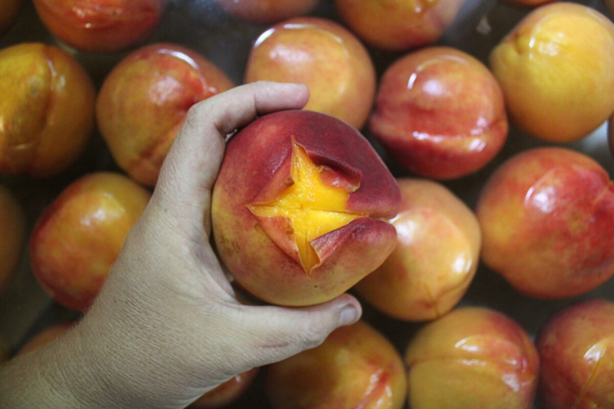 Peeling Peaches for home canning