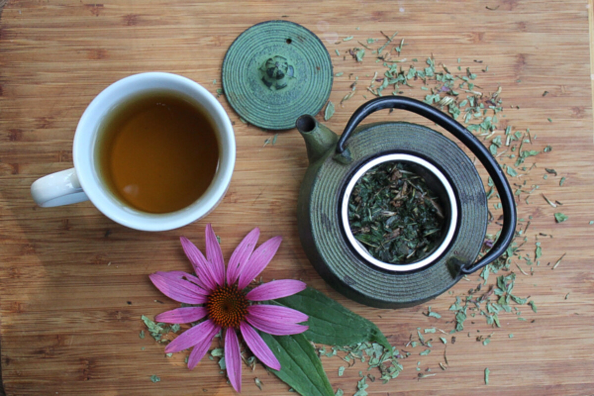 How to Make Echinacea Tea