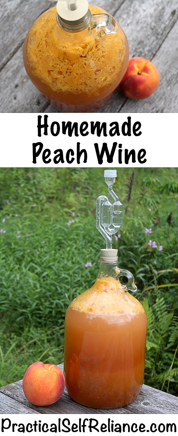 Homemade Peach Wine Recipe #wine #peach #recipe #homemade #homebrew #winemaking #fermenteddrink #drinks #winerecipes