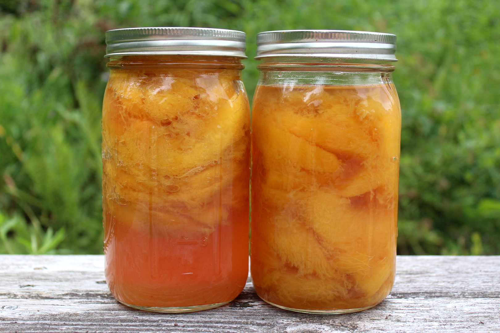 Raw Pack Compared to Hot Pack Peaches