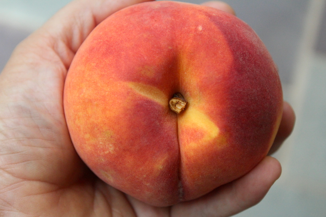 Ripe Peach for Canning