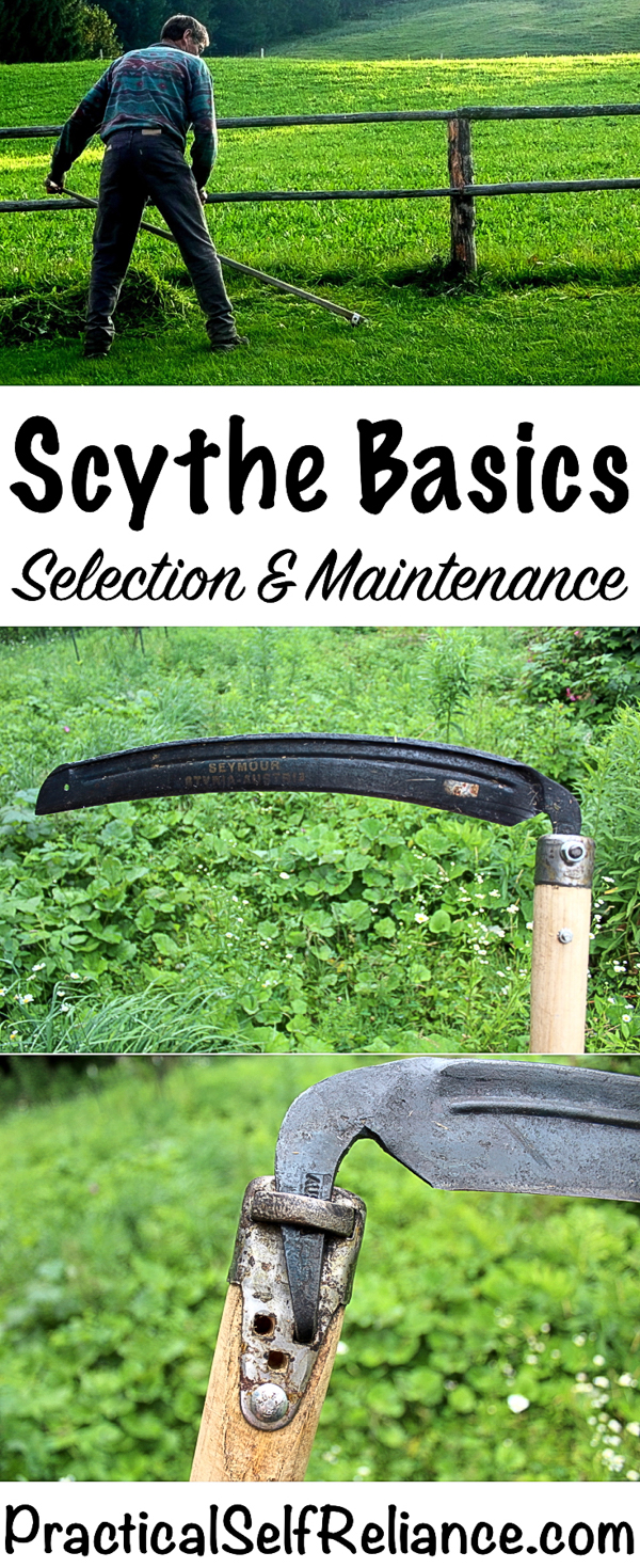 How to Select and Maintain a Scythe #scythe #traditionaltools #greenliving #weeds #homesteading #selfreliant #preparedness