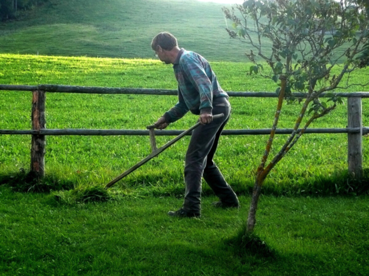 European Straight Scythe