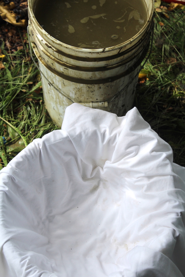 Setup for Extracting Clay